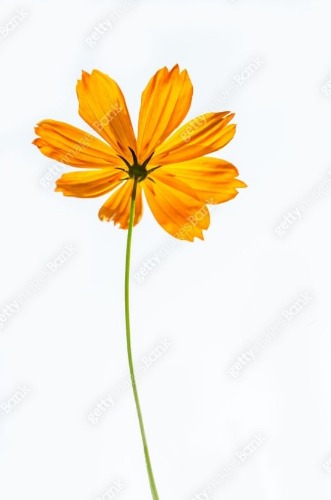 테스트중입니다.